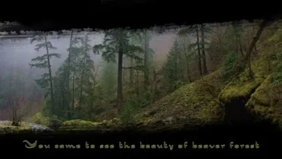 صور Beaver Forest Escape - a boy escape game