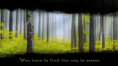 صور Beaver Forest Escape - a boy escape game