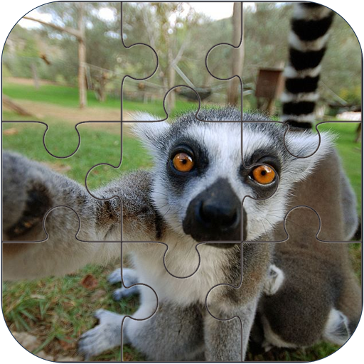 National Animals Puzzle