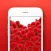Картинки на айфон. Обои для iPhone скачать бесплатно
