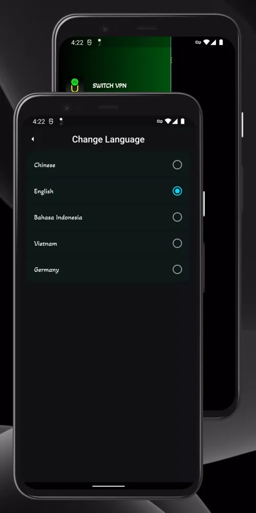 Switch VPN Screenshots