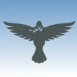 Freebird Pilates