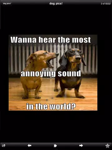 Funny Dog Pics! iPad  스크린샷