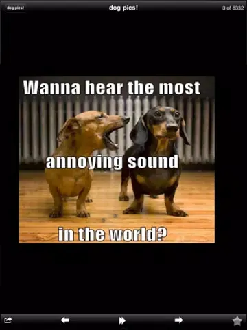 Funny Dog Pics! iPad 应用截图