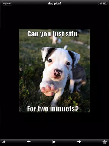 Funny Dog Pics! iPad  스크린샷