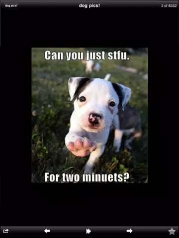 Funny Dog Pics! iPad 应用截图