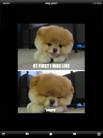 Funny Dog Pics! iPad 应用截图