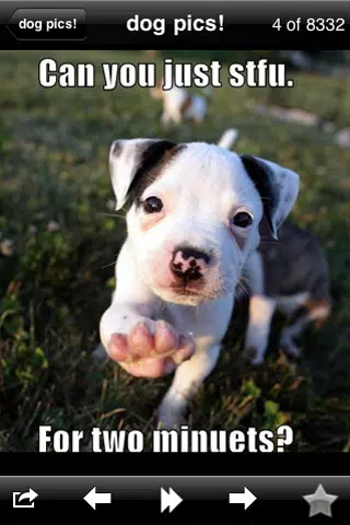 Funny Dog Pics! 스크린샷