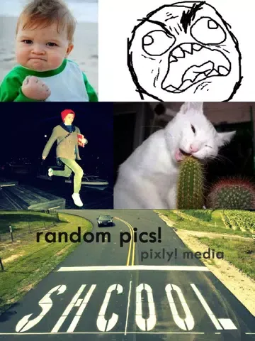 Funny Random Pics! iPad 應用截圖