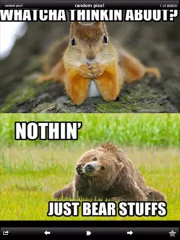 Funny Random Pics! iPad 應用截圖