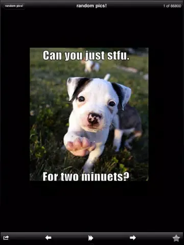 Funny Random Pics! iPad 應用截圖