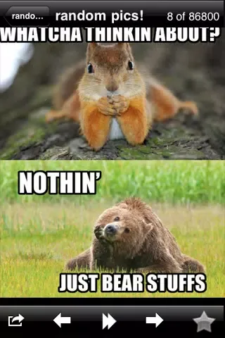 Funny Random Pics!應用截圖