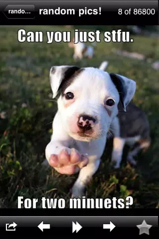 Funny Random Pics!應用截圖