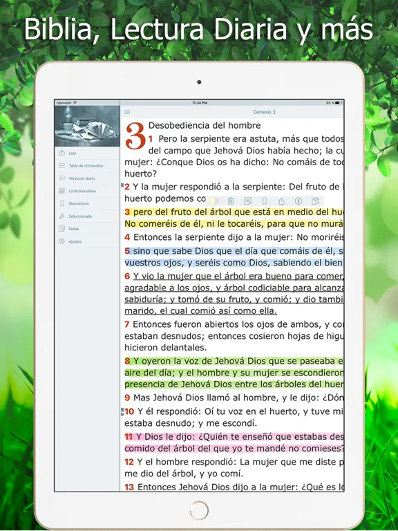Tangkapan layar La Biblia Reina Valera Audio iPad 
