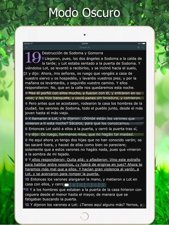 Tangkapan layar La Biblia Reina Valera Audio iPad 