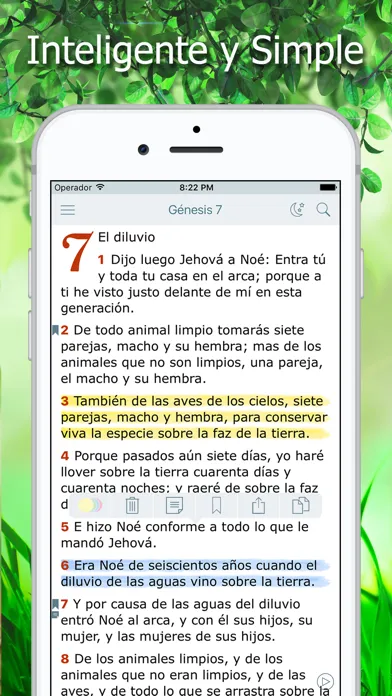 Tangkapan layar La Biblia Reina Valera Audio