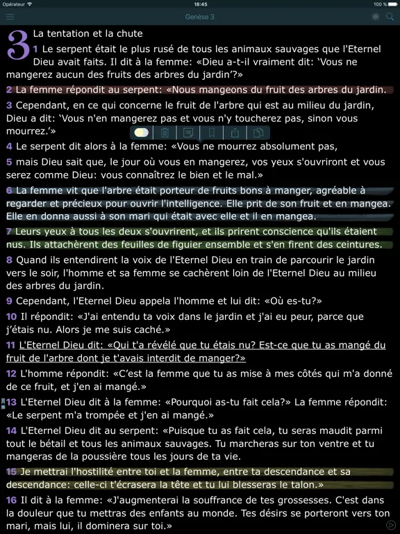 La Bible en Français. L Segond iPad  Screenshots
