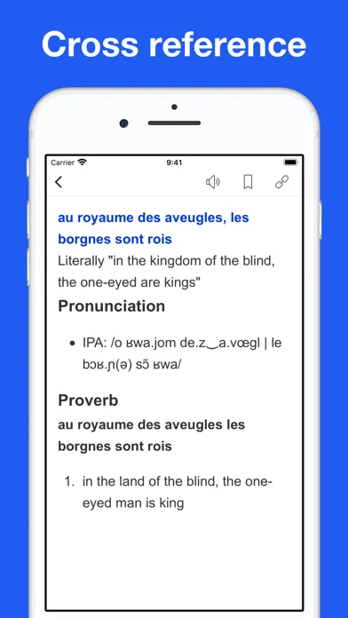 Captures d'écran de French Idiom Dictionary