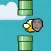 Flappy Friend - Flap Yourself - Become the Bird take a photo of your face !