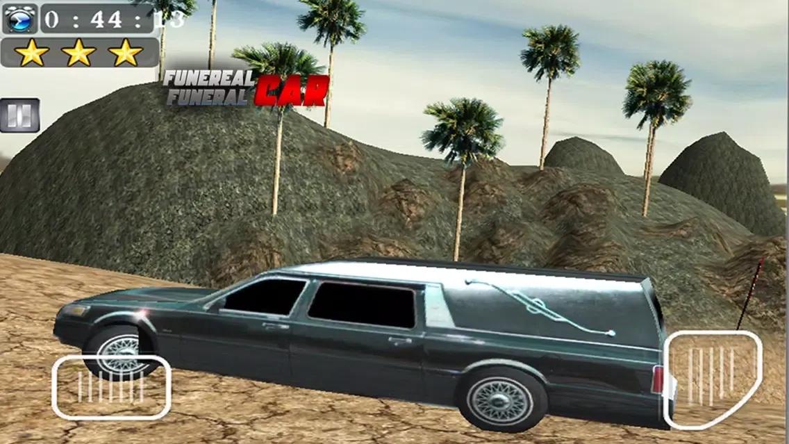 Ảnh chụp màn hình của Funereal Funeral Car