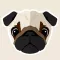 Funny Dog Sticker pack for iMessage