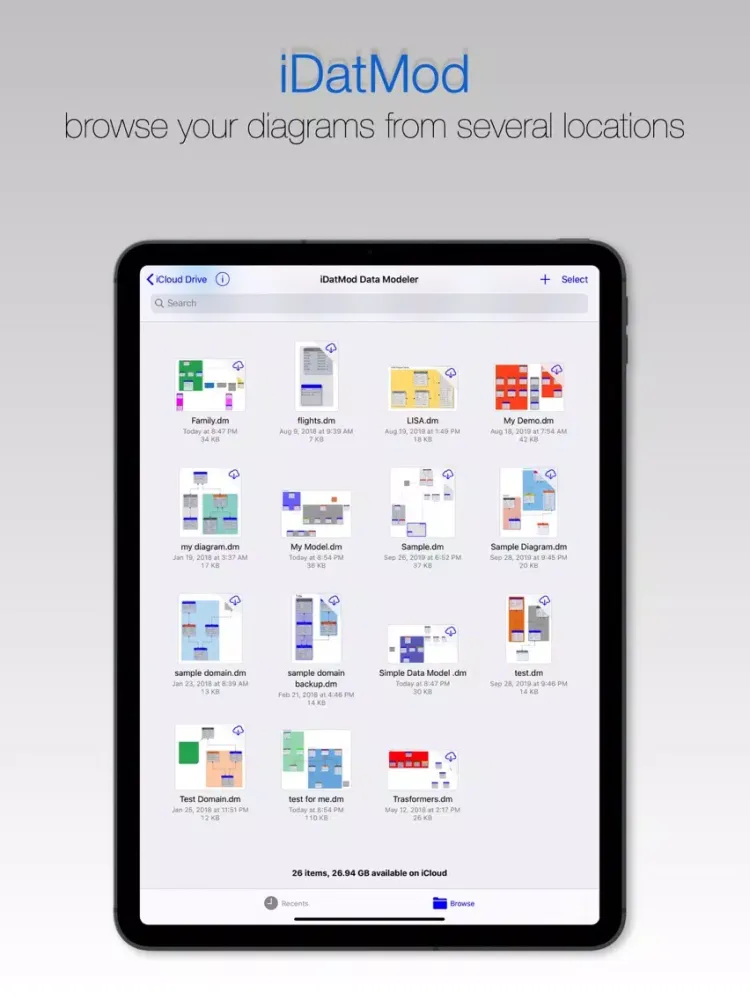 iDatMod Data Modeler iPad  스크린샷