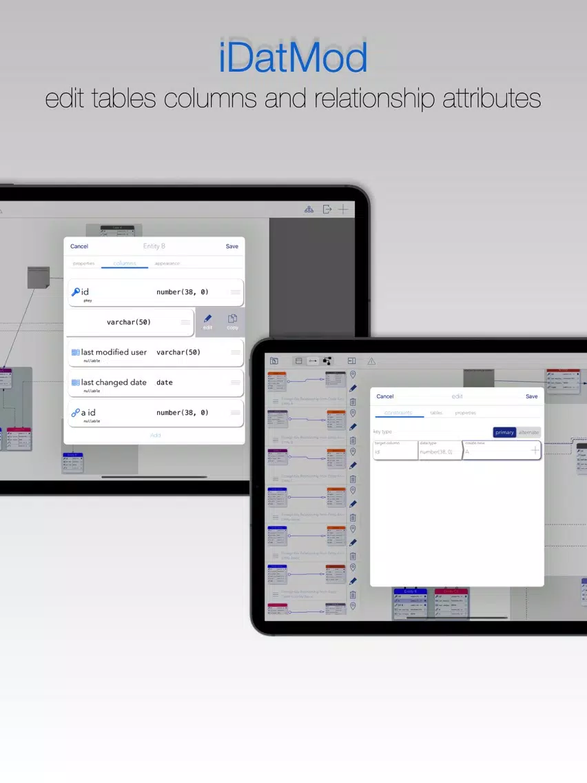 Скриншоты iDatMod Data Modeler iPad 