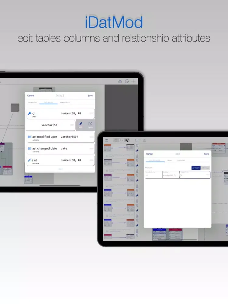 iDatMod Data Modeler iPad  스크린샷
