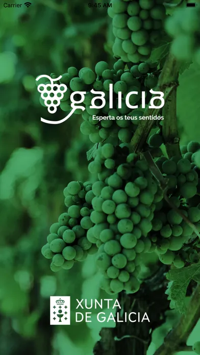 Tangkapan skrin WineTourism in Galicia