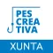 Pescreativa