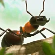 Ant War - Kingdom Battles Ant War - Kingdom Battles