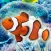 Touch the fish! - Aquarium Sim
