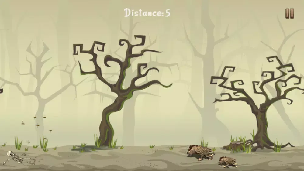 تصاویر Pirate Skeleton Run