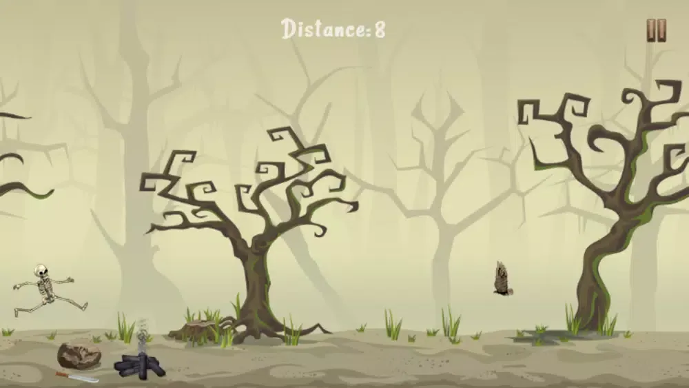 تصاویر Pirate Skeleton Run