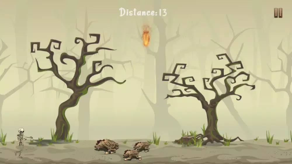 تصاویر Pirate Skeleton Run