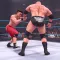 Wrestling Empire Battle Royale