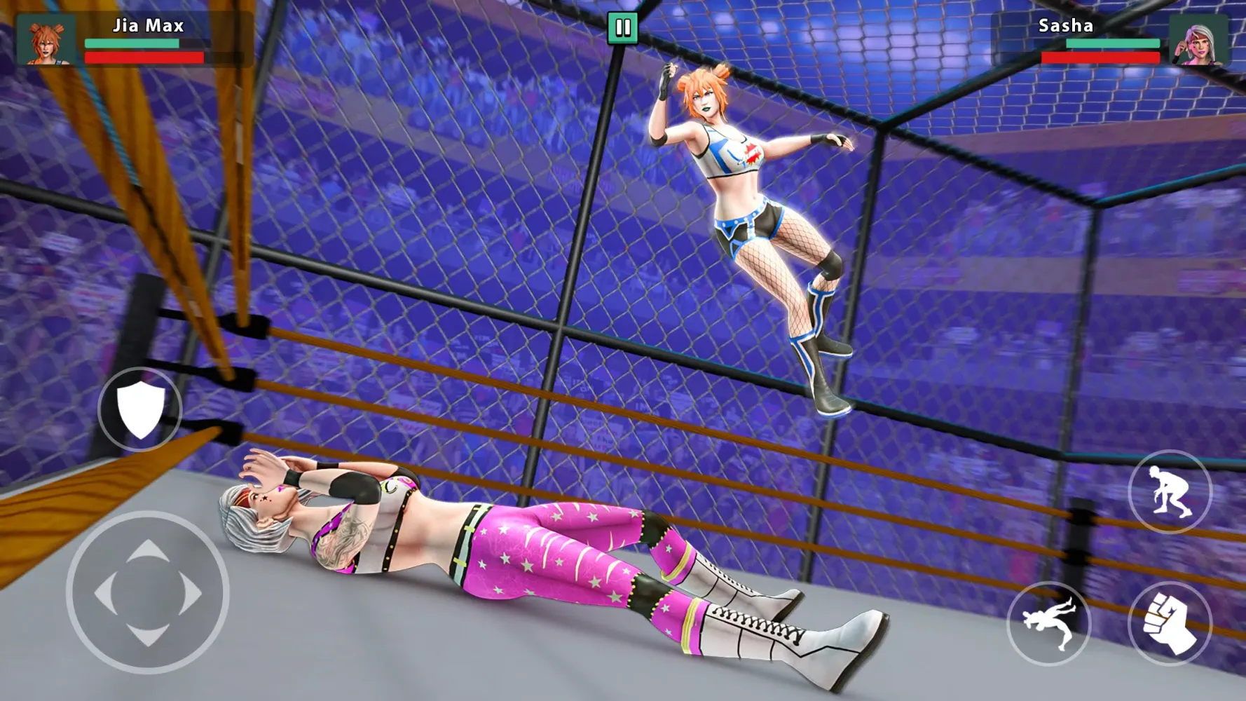 Скриншоты Wrestling Empire Battle Royale