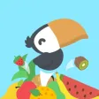 Fruit Toucan Fruit Toucan