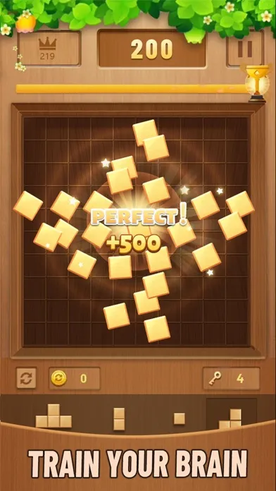 Zrzuty ekranu Block puzzle Casual game woody