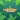 Paradise Tycoon Beta