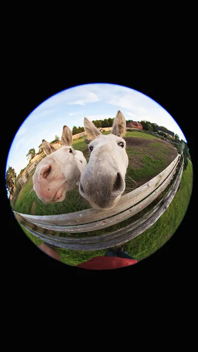 Fisheye Camera - Pro Fish Eye Lens with Live Lense Filter Effect Editor Screenshots