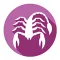 Scorpio Horoscope - Daily Zodiac, Astrology, Love