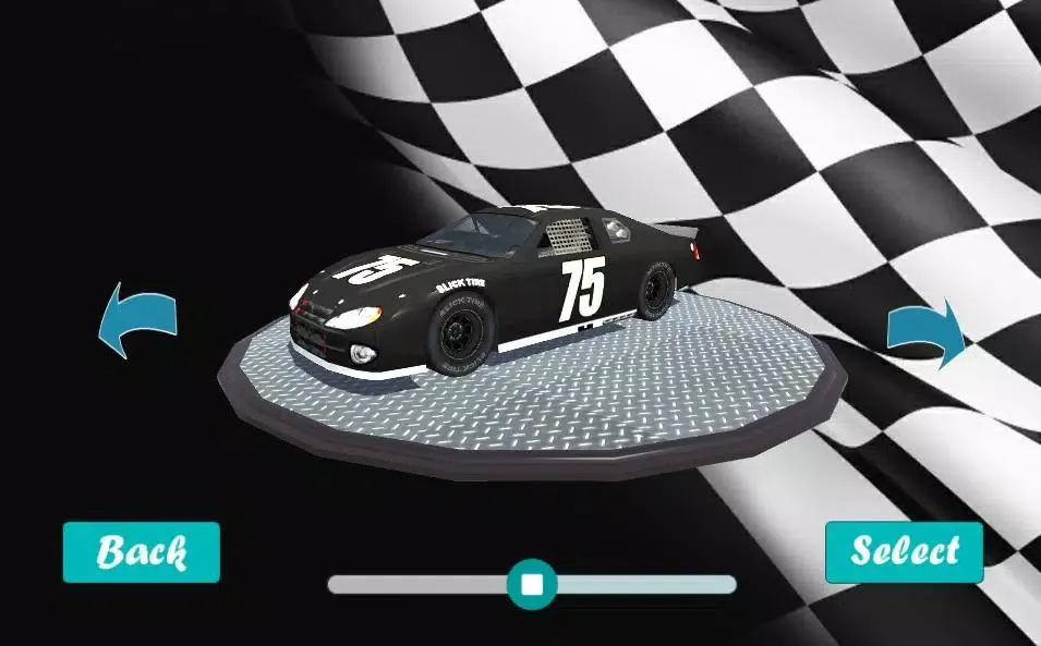 Stock Cars Race Screenshots