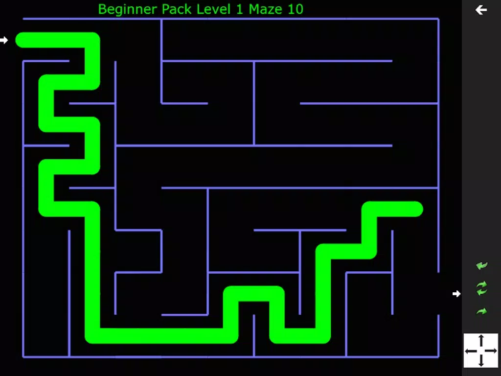 Switchback Maze Game iPad 應用截圖