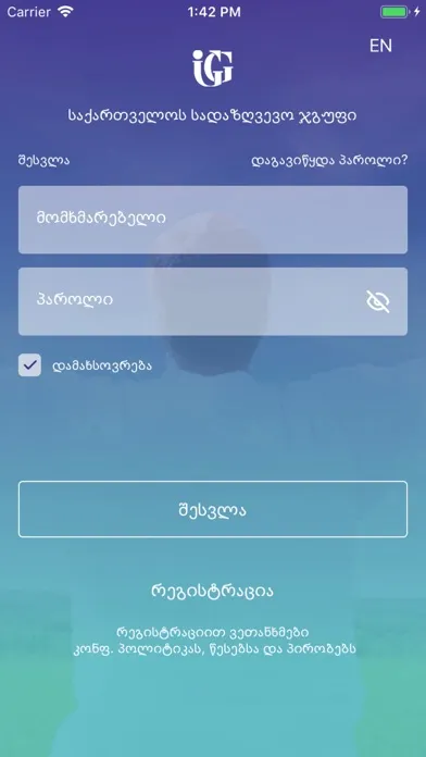 IGG Insurance group of Georgia スクリーンショット