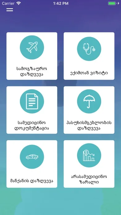 IGG Insurance group of Georgia スクリーンショット