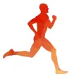 Sport Running PRO Sport Running PRO