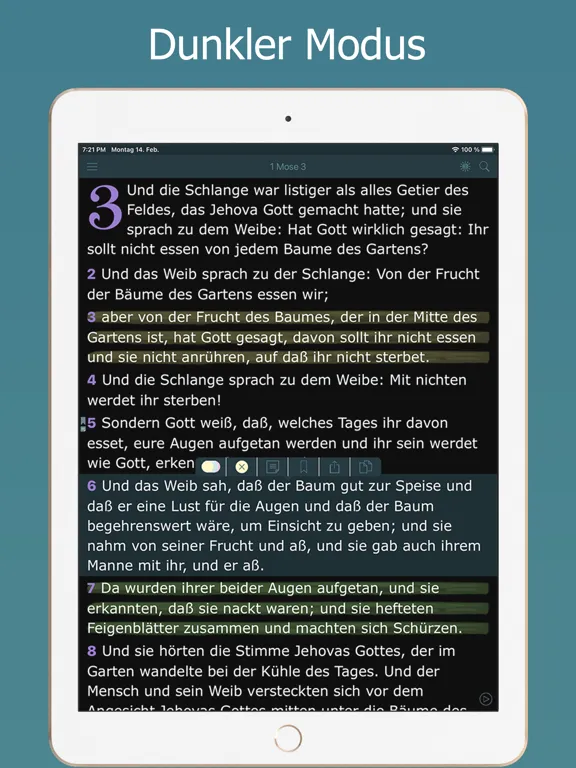 Captures d'écran de Die Elberfelder Bibel Audio iPad 