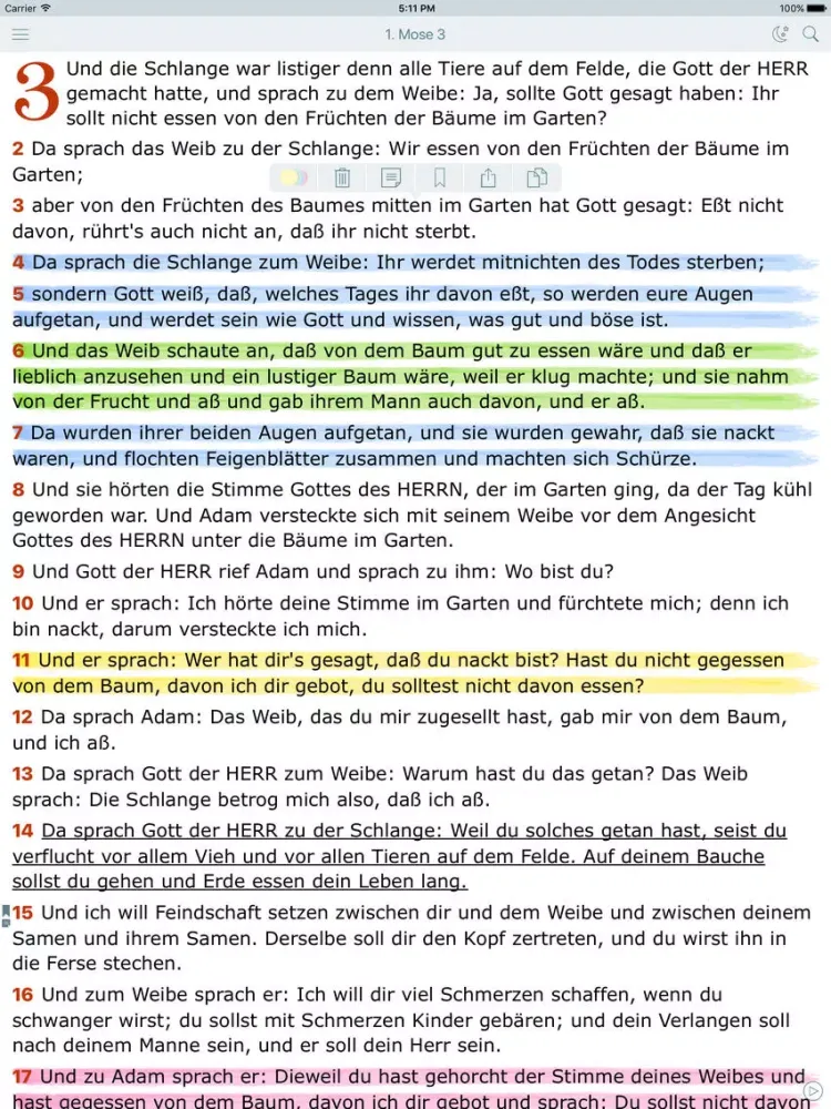 Tangkapan layar Luther Bibel (Holy Bible in German) iPad 