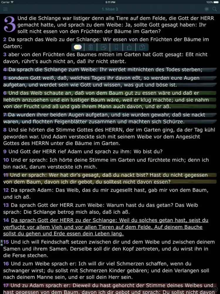 Tangkapan layar Luther Bibel (Holy Bible in German) iPad 